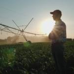 farmer watches cornfield as sprinklers irrigate water